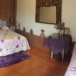 圣马蒂纽金塔旅馆 *